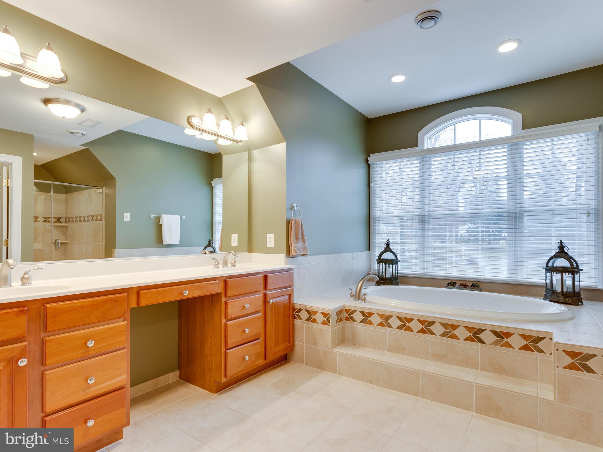 4013 Laurel Road Alexandria, VA 22309 - Photo 17 of 30 a spacious bathroom with a tub sink and mirror