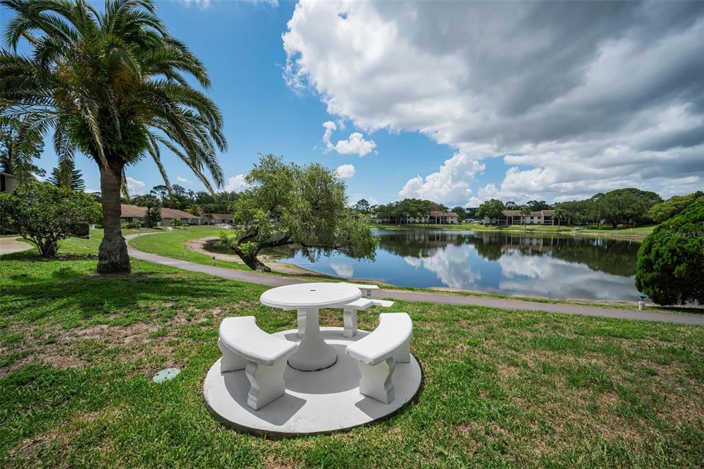 1870 Pine Ridge Way West, Unit G1 Palm Harbor, FL 34684 - Photo 40 of 77