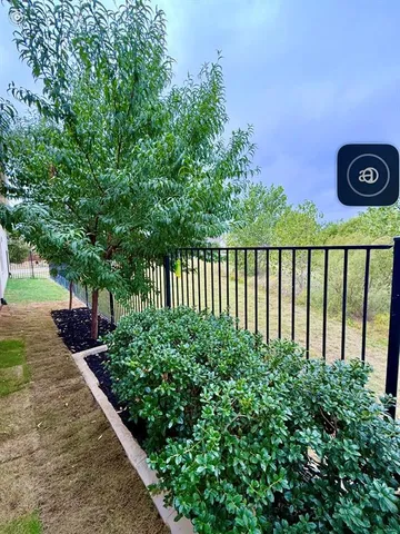 a view of a garden with wooden floor