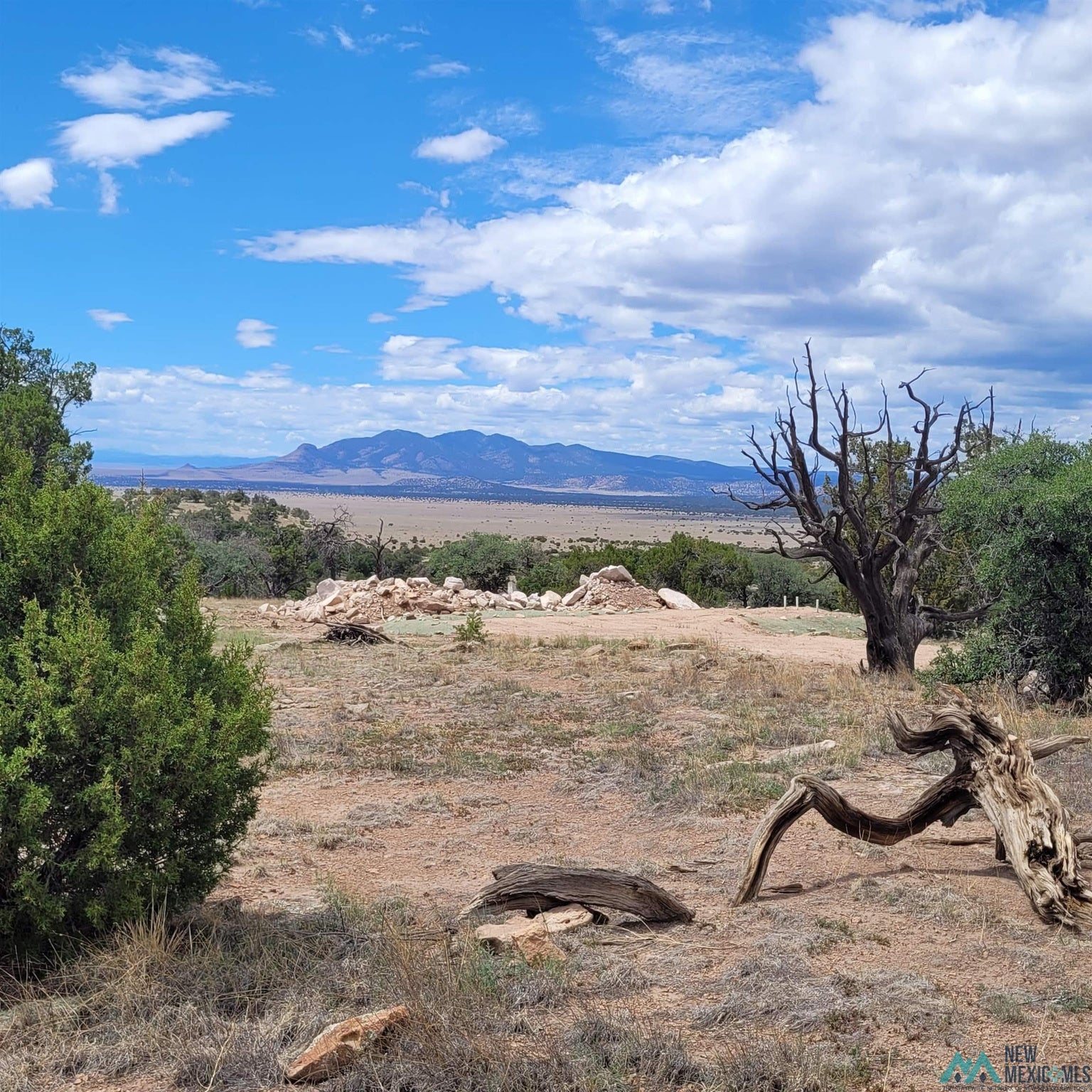 0 Lookout Loop, Unit 89 Datil, NM 87821 - Photo 13 of 38 Gallery Image 13