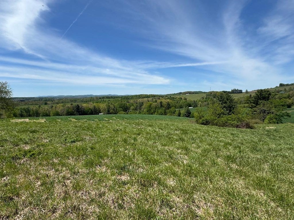 Tbd Bellspur Road Laurel Fork, VA 24352 - Photo 15 of 25 Gallery Image 15