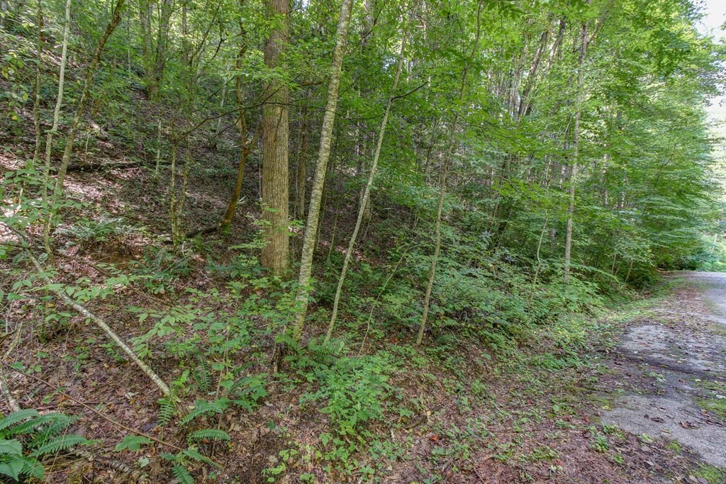 26 Riversong Way Sevierville, TN 37876 - Photo 7 of 9