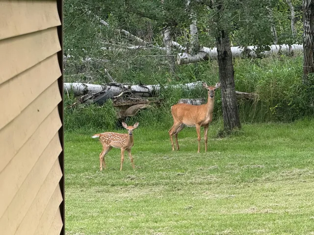 $399,900 | 1107 Center Road, Wright, MN 55798