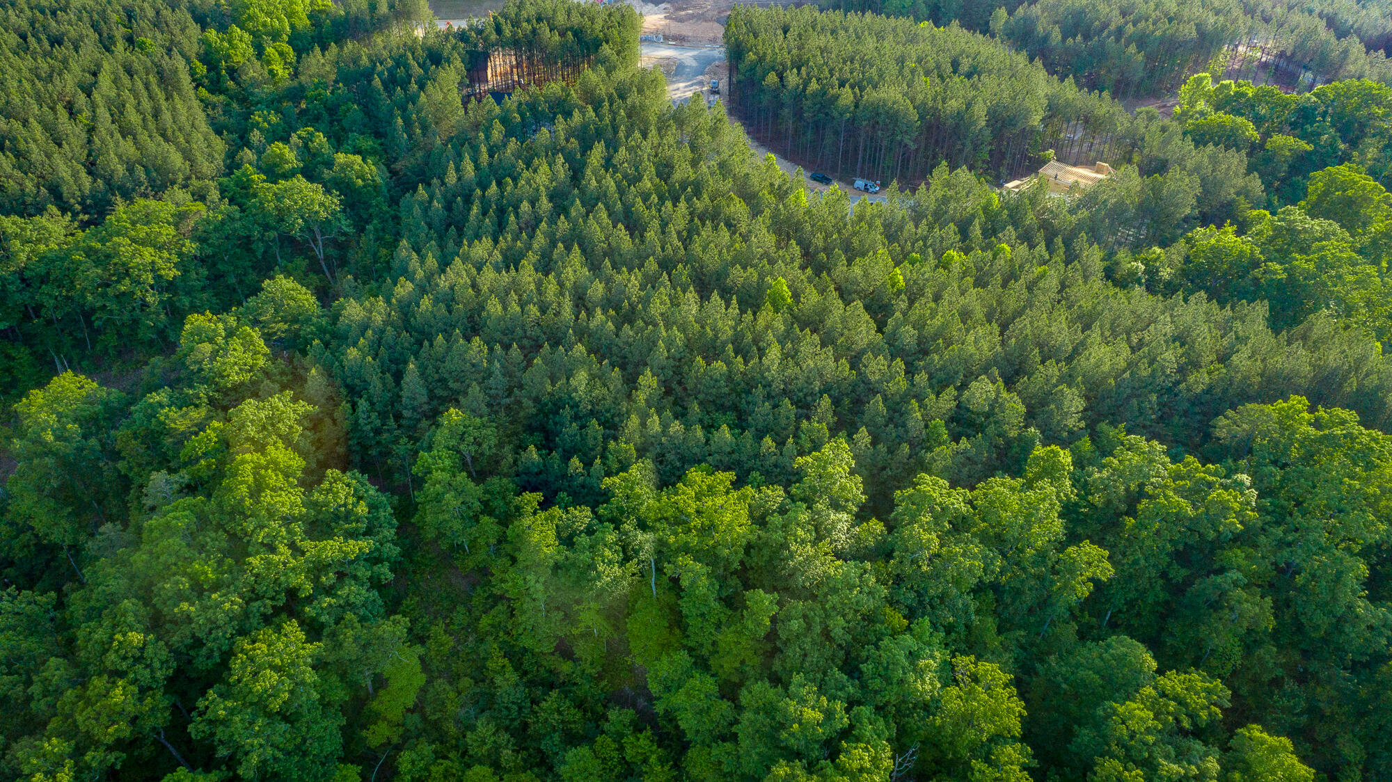 0 Back Basin Trail, Unit LOT 1244 Chattanooga, TN 37419 - Photo 64 of 119 0 Back Basin Trail - Lot 1244 HD-23