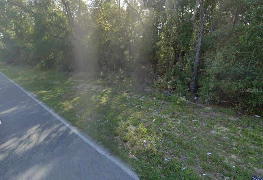 465 Baden Powell Road Hawthorne, FL 32640 - Photo 4 of 5