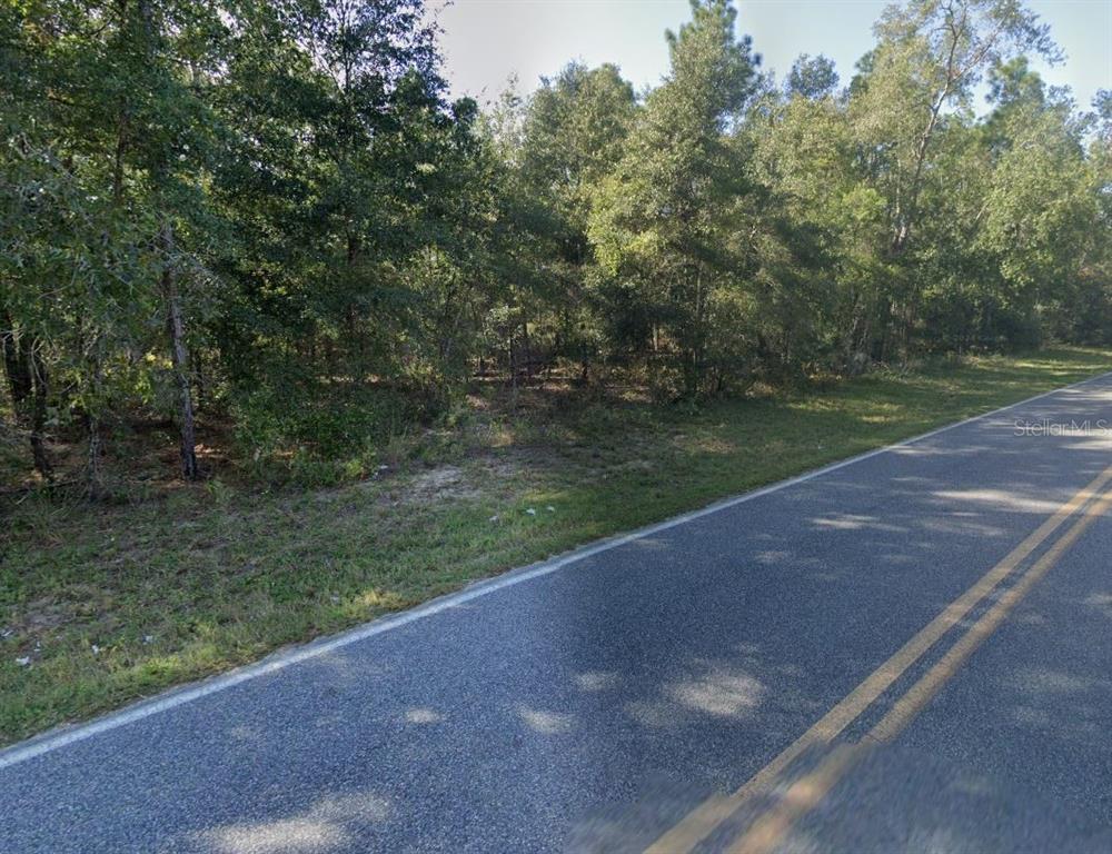 465 Baden Powell Road Hawthorne, FL 32640 - Photo 5 of 5