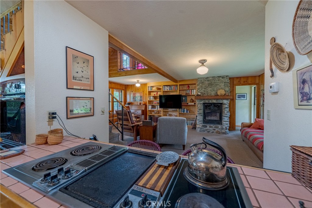 3279 Merced Falls Road Snelling, CA 95369 - Photo 54 of 73 a living room with furniture flat screen tv and a fireplace
