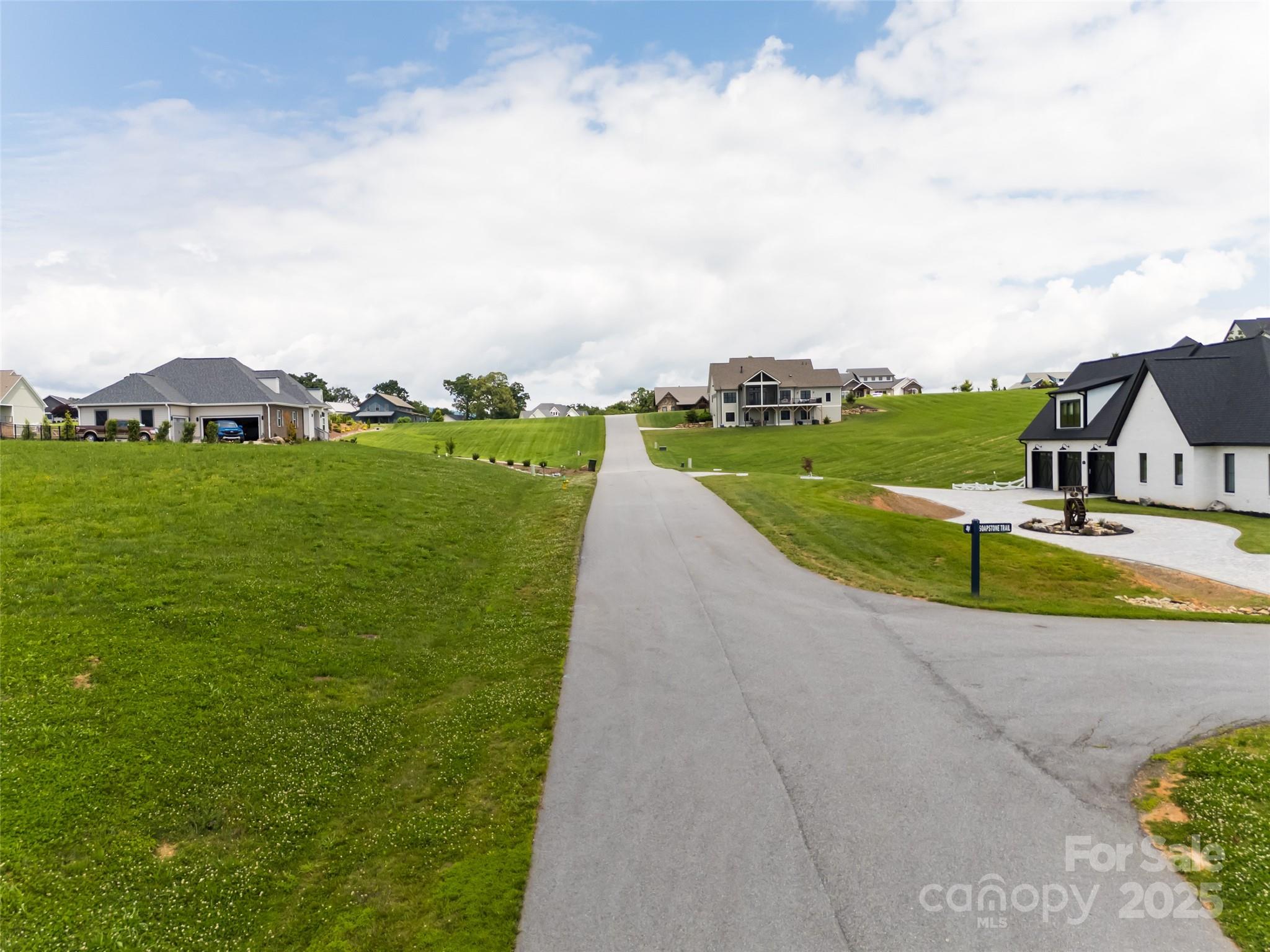 106 Double Knob Road, Unit LOT 64 Mills River, NC 28759 - Photo 8 of 19 a view of a lake with a garden in front of it