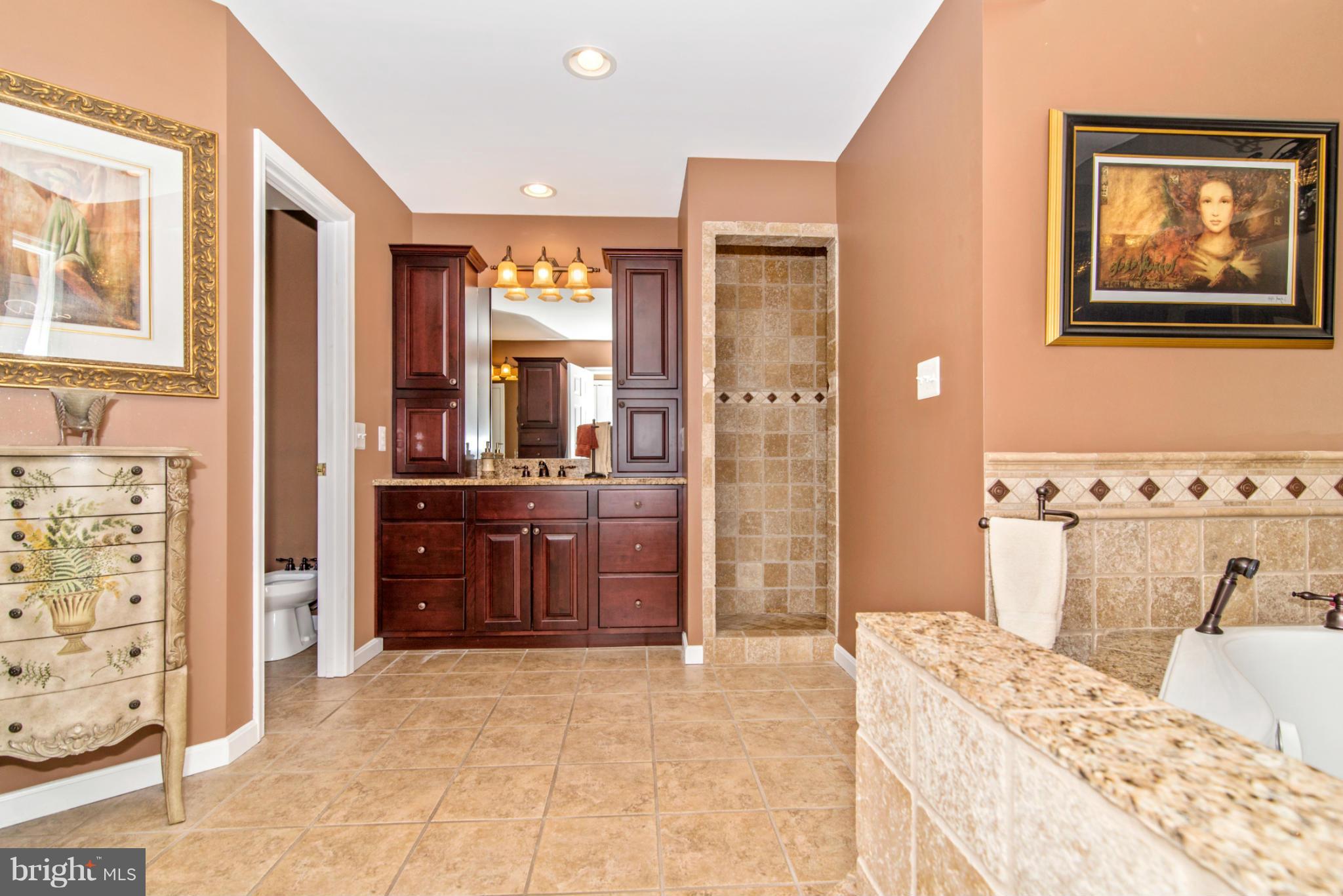 11230 Hessong Bridge Road Thurmont, MD 21788 - Photo 16 of 30 Bath (Master)