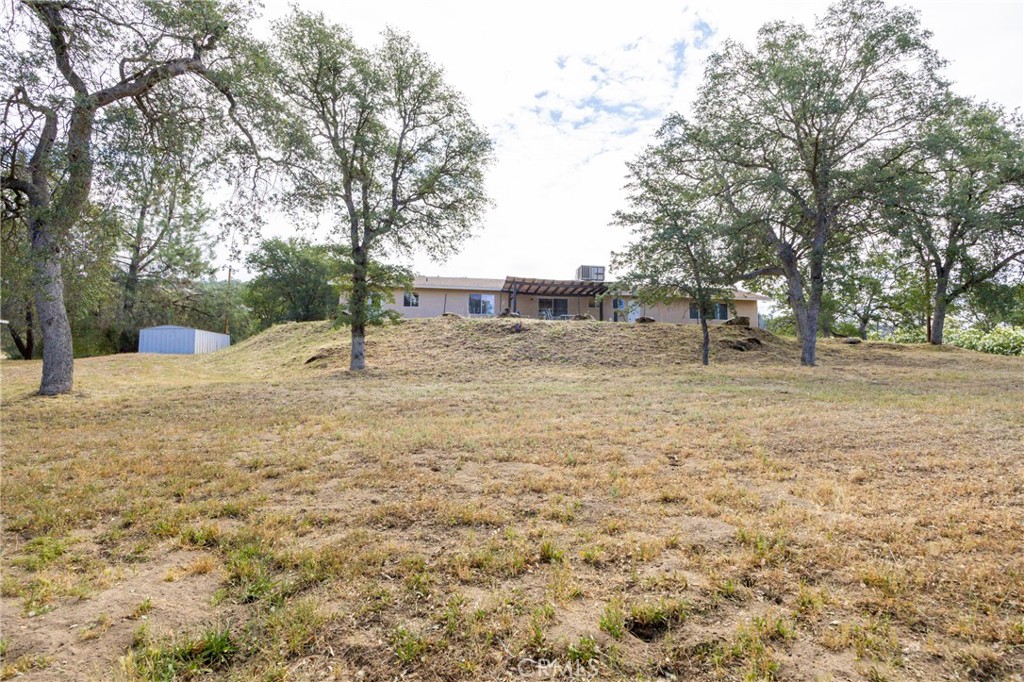 30142 Revis Road Coarsegold, CA 93614 - Photo 32 of 43 a view of yard with tree