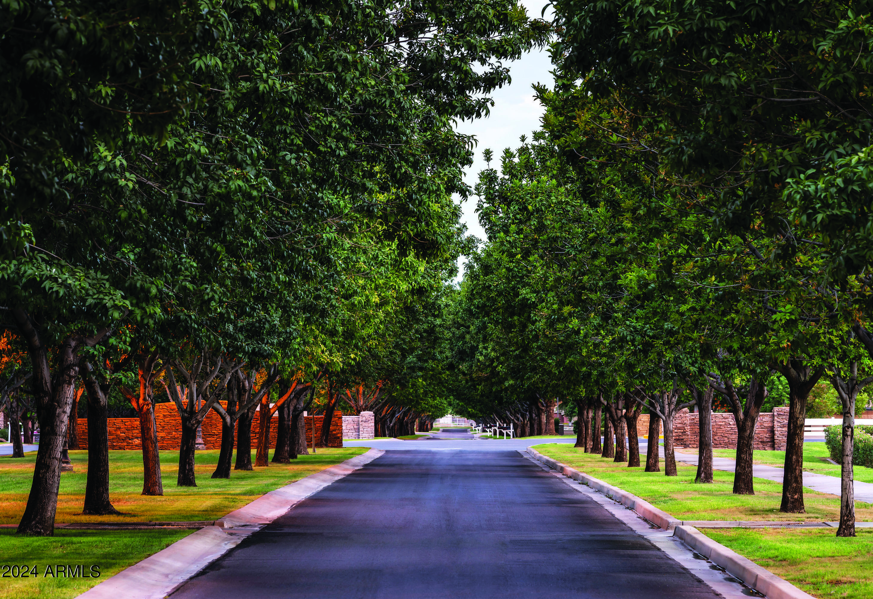 3849 East Bloomfield Parkway Gilbert, AZ 85296 - Photo 1 of 1 Tree Lined Parkways
