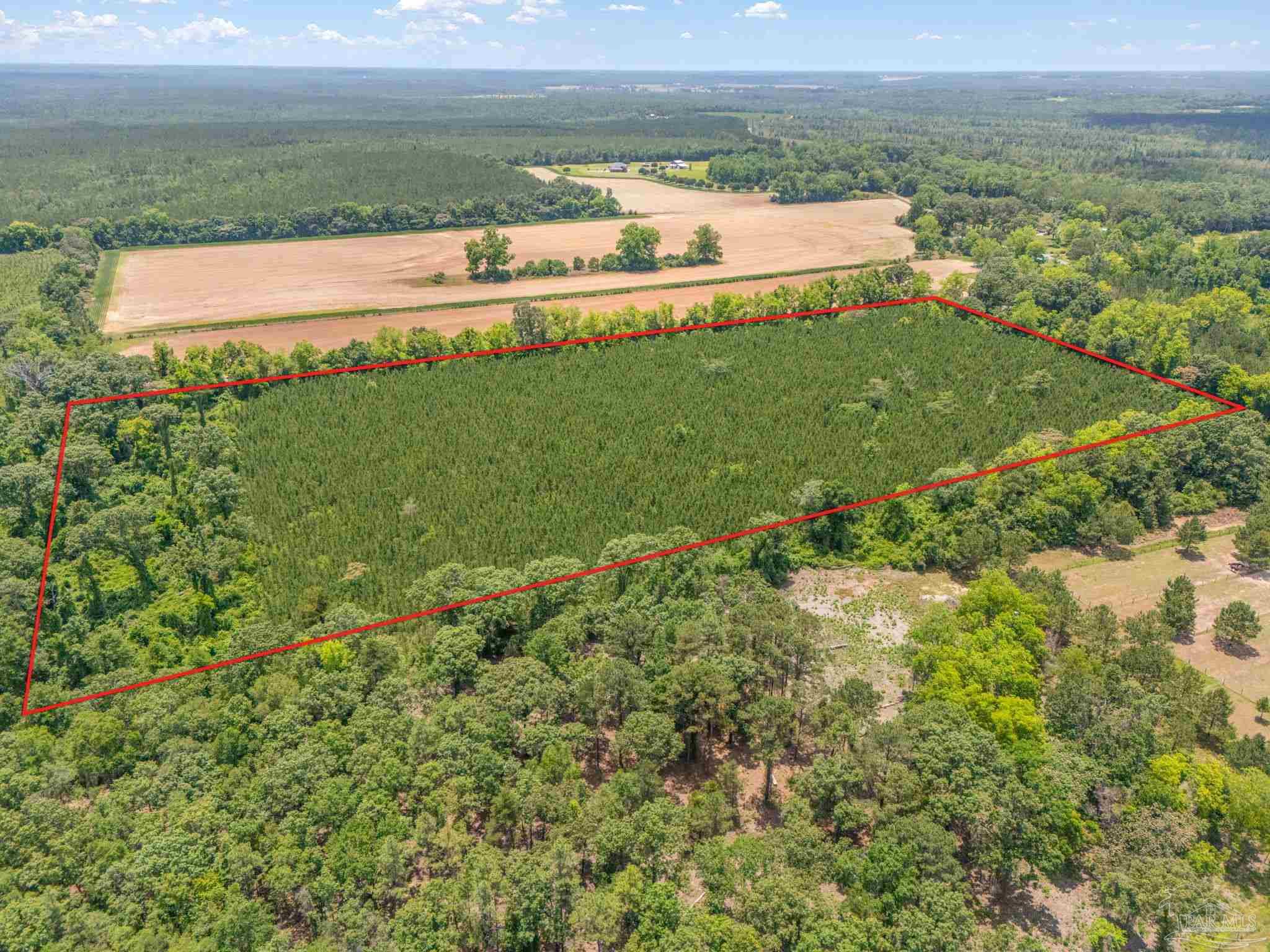 0 Lewis Road Milton, FL 32570 - Photo 7 of 14 a view of a grassy area with an ocean and trees
