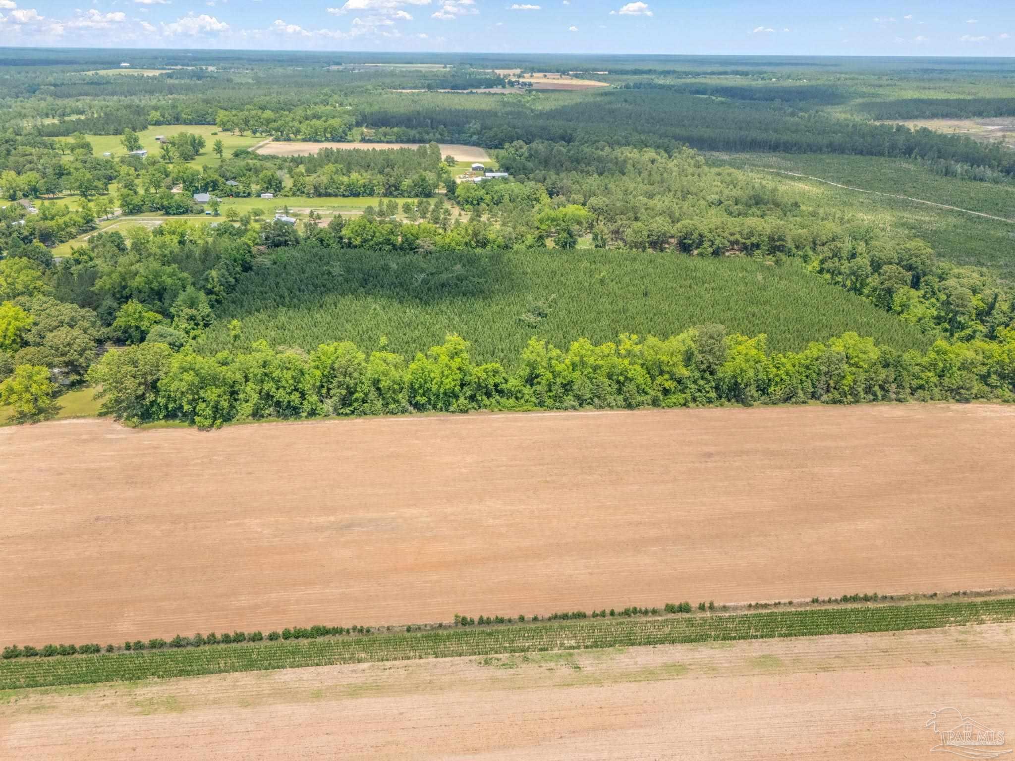 0 Lewis Road Milton, FL 32570 - Photo 10 of 14 a view of a lake with a big yard