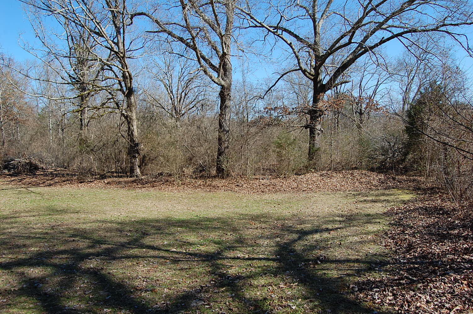 712 Cartwright Loop Whitwell, TN 37397 - Photo 8 of 44 Gallery Image 8