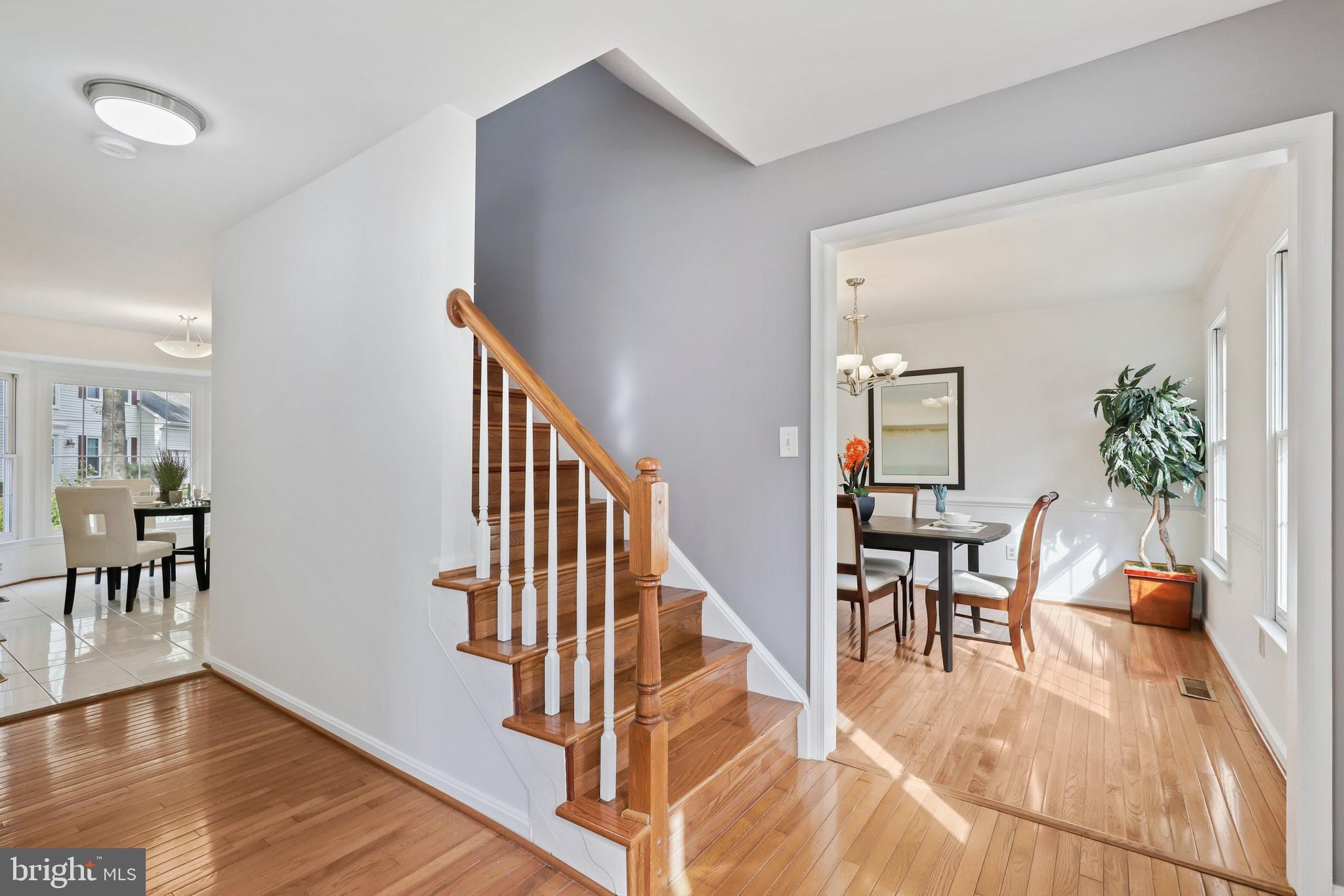 7108 Dudrow Court Springfield, VA 22150 - Photo 3 of 43 Gallery Image 3