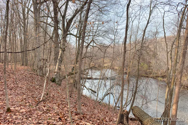 $450,000 | V/l Stoneybrook Trail, Hubbardston, MI 48845