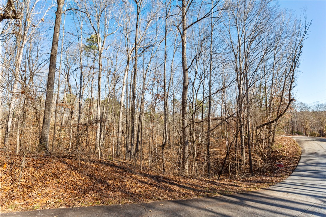0 Bayfield Road Westminster, SC 29693 - Photo 4 of 30 Gallery Image 4