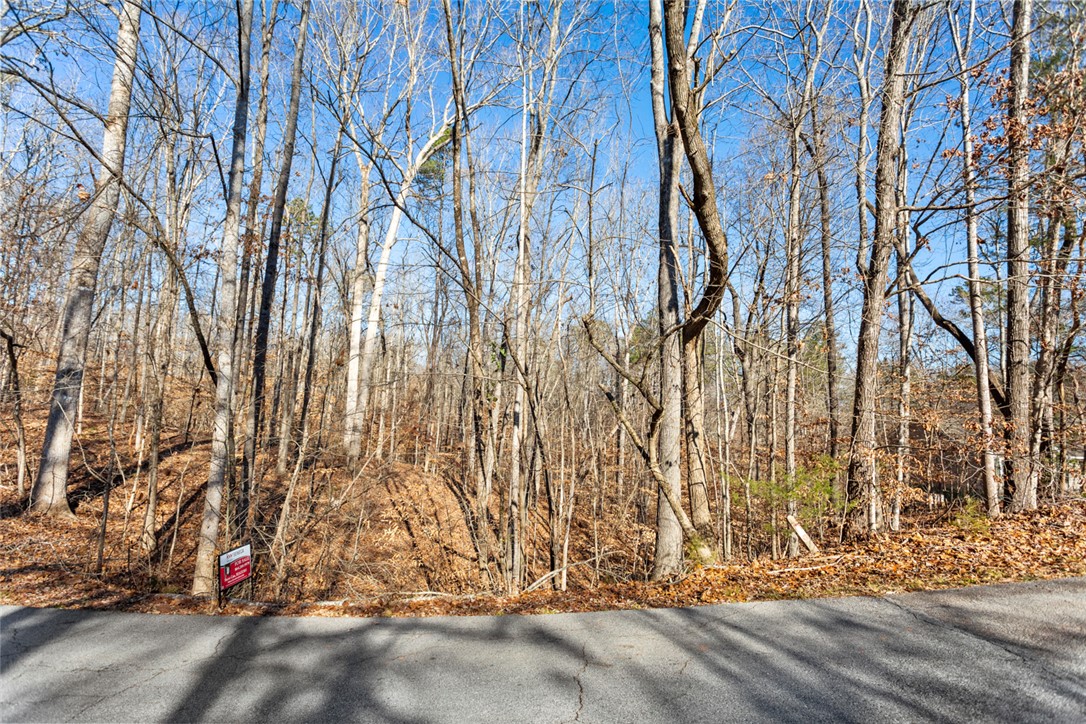 0 Bayfield Road Westminster, SC 29693 - Photo 5 of 30 Gallery Image 5