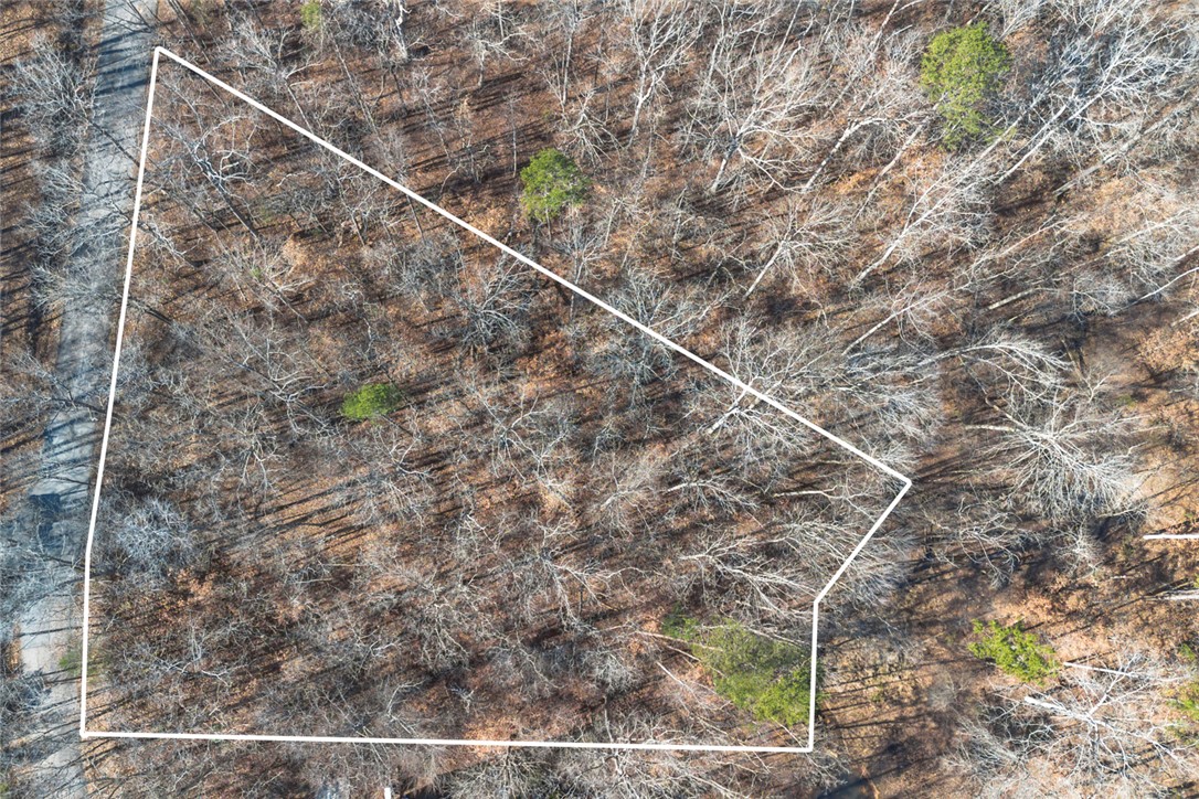0 Bayfield Road Westminster, SC 29693 - Photo 10 of 30 Gallery Image 10