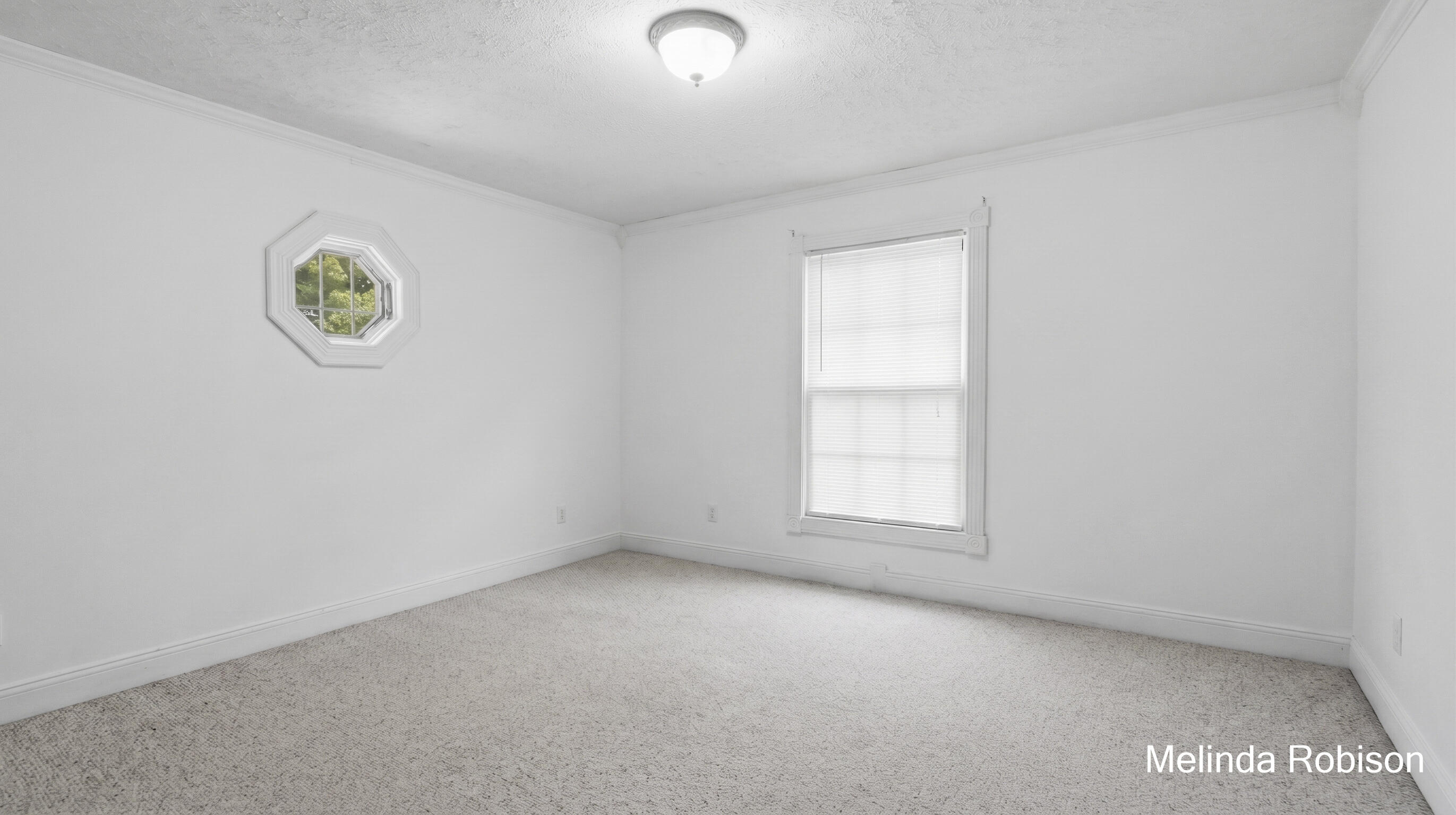 550 Merrick Street Belding, MI 48809 - Photo 20 of 31 edited-1784673795315