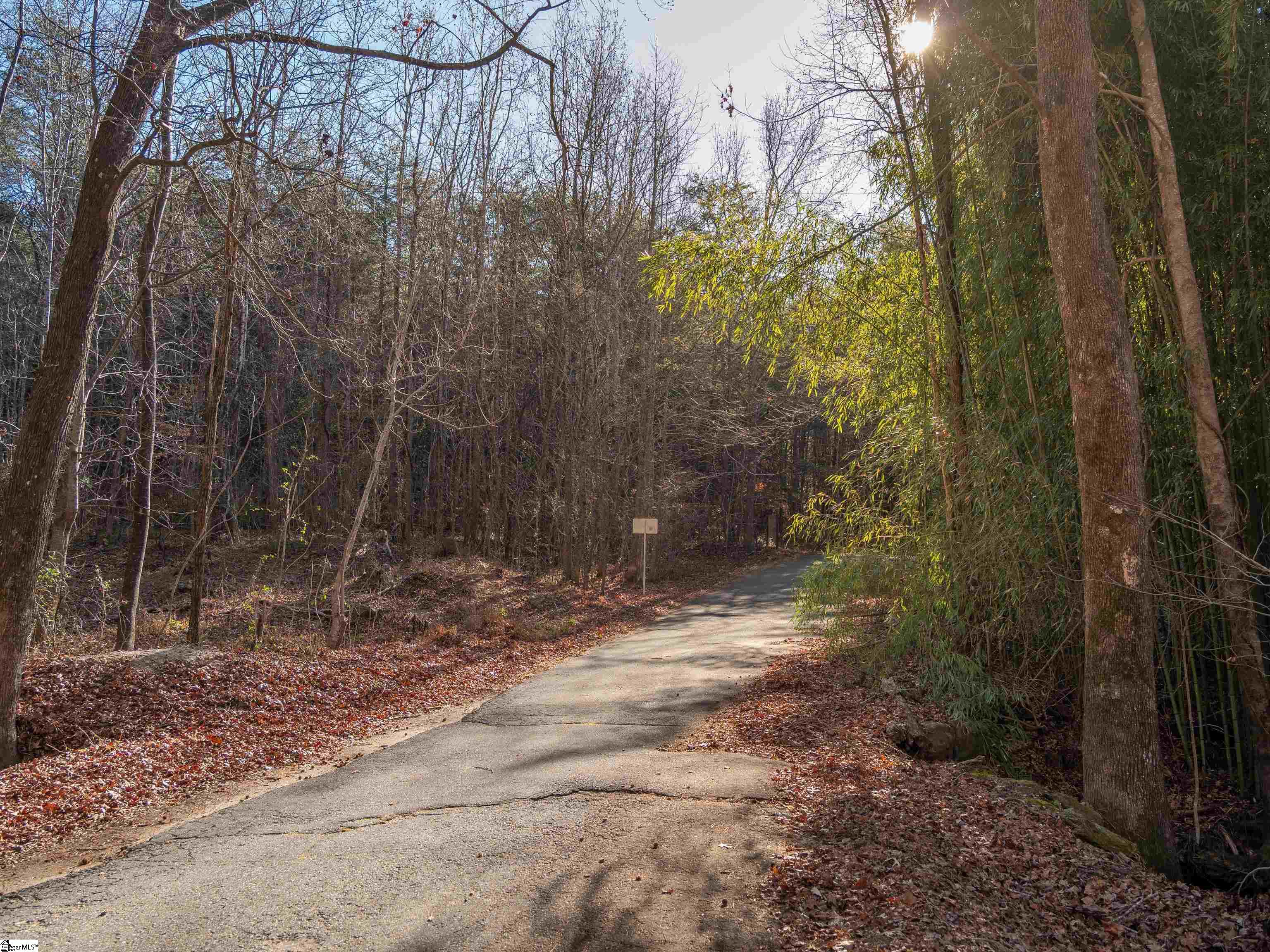 0 Pittman Road Landrum, SC 29356 - Photo 20 of 25