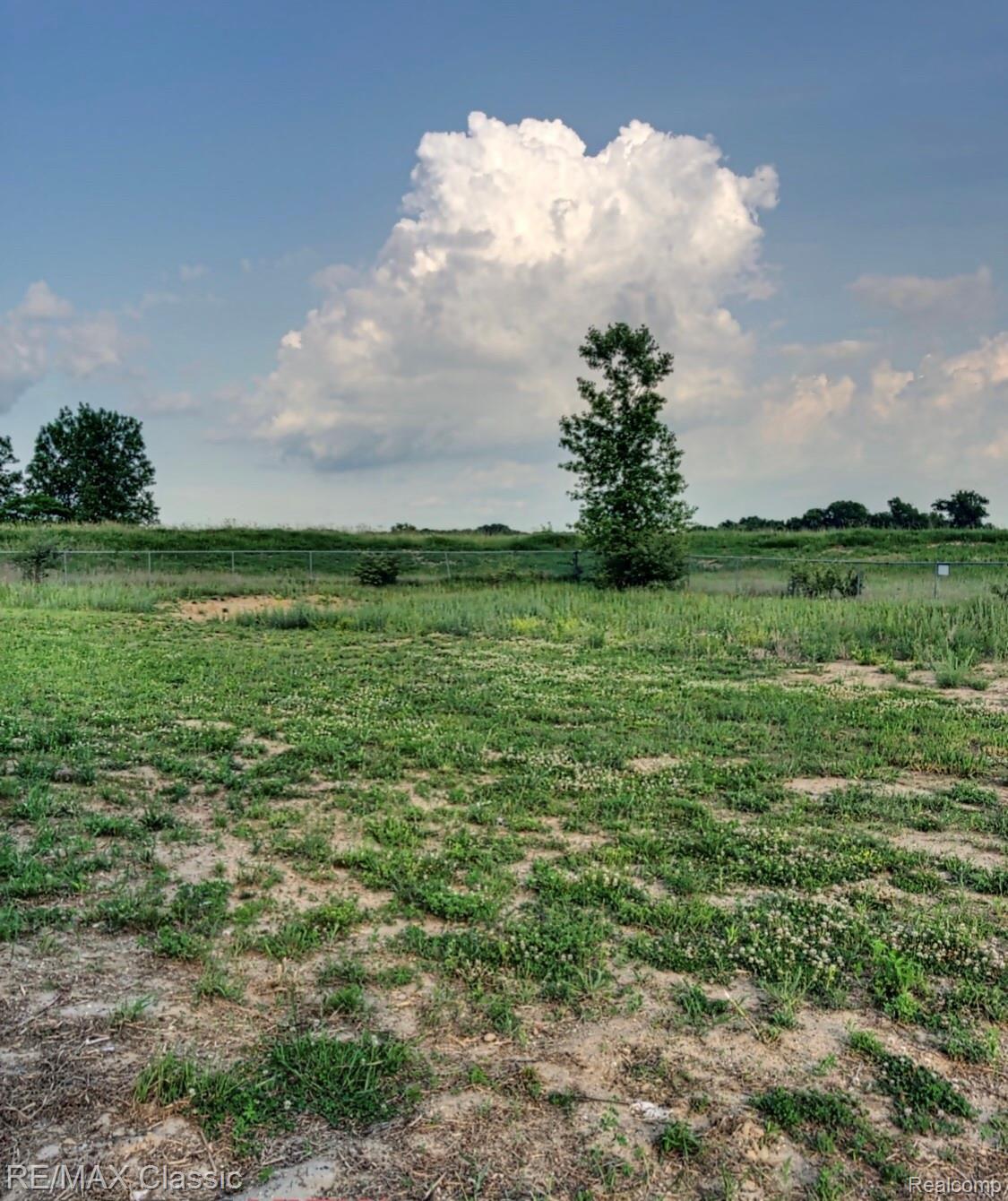 2816 Fisher Road Howell, MI 48855 - Photo 4 of 38 Views of endless open land behind you :-)
