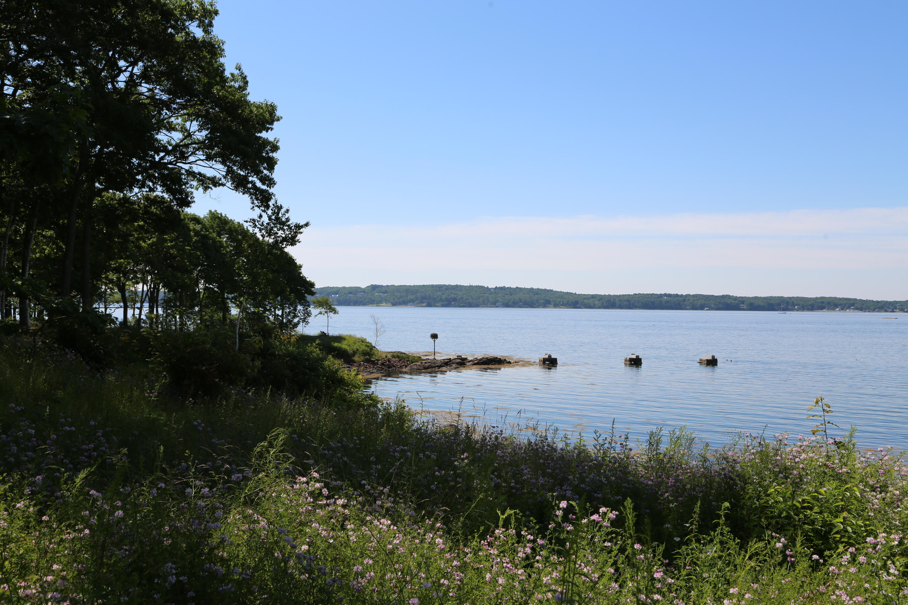 49 Jameson Point Road, Unit 22 Rockland, ME 04841 - Photo 37 of 37 4N4A0175