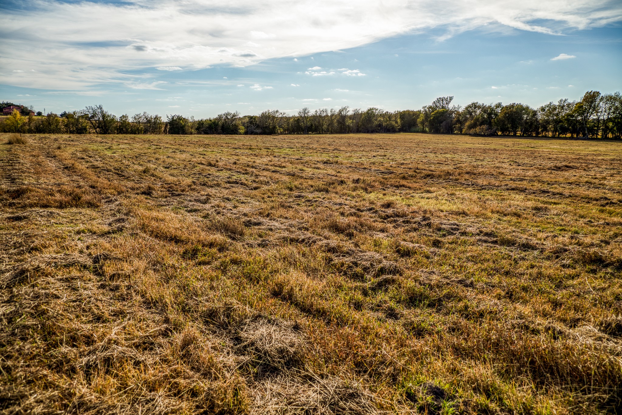 Lot 3 Sandy Hill Road Brenham, TX 77833 - Photo 2 of 10