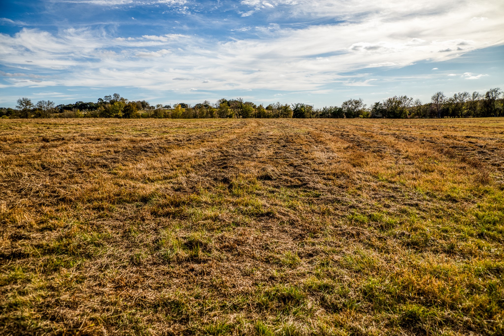 Lot 3 Sandy Hill Road Brenham, TX 77833 - Photo 4 of 10