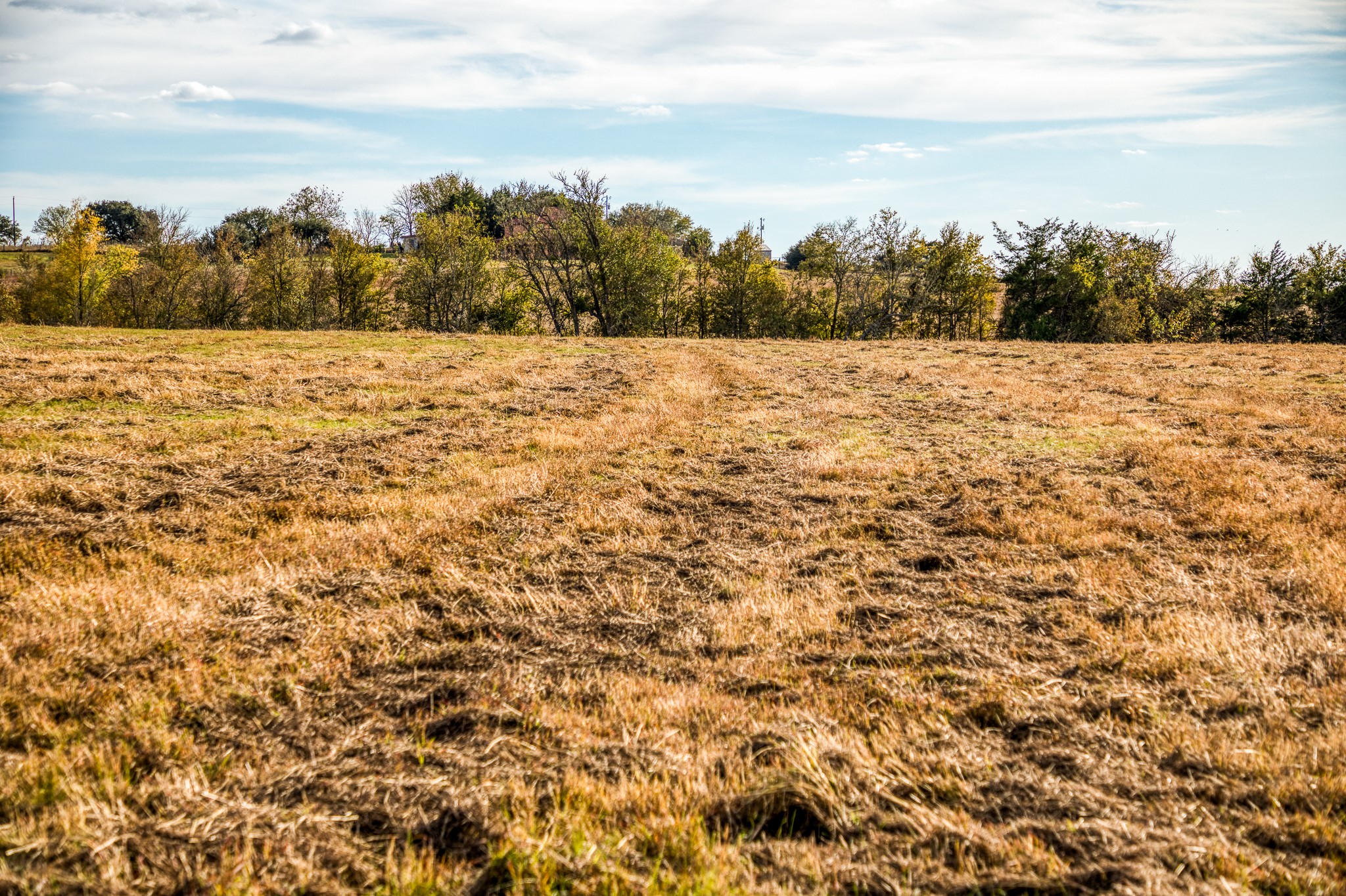 Lot 3 Sandy Hill Road Brenham, TX 77833 - Photo 5 of 10