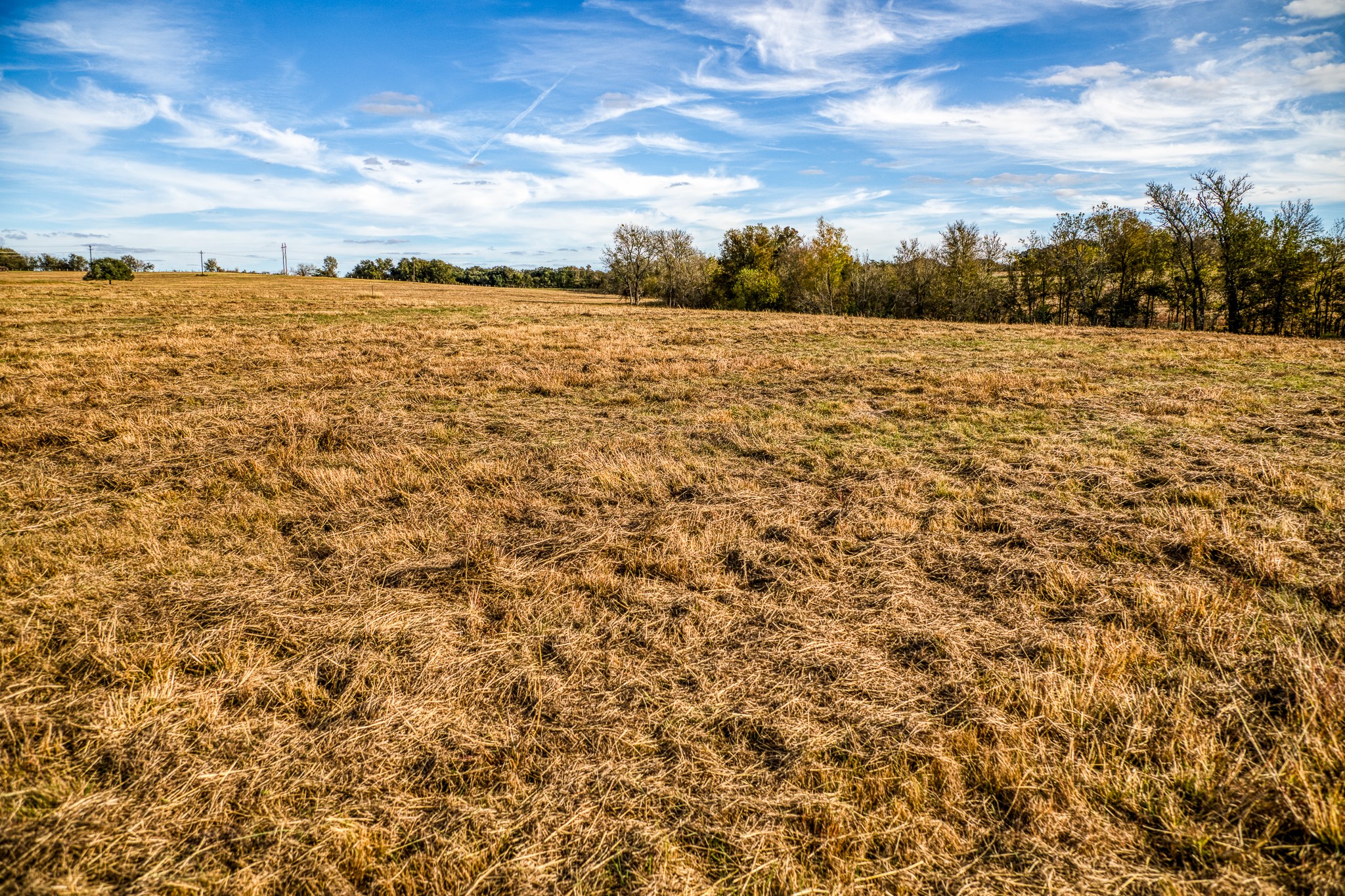 Lot 3 Sandy Hill Road Brenham, TX 77833 - Photo 6 of 10