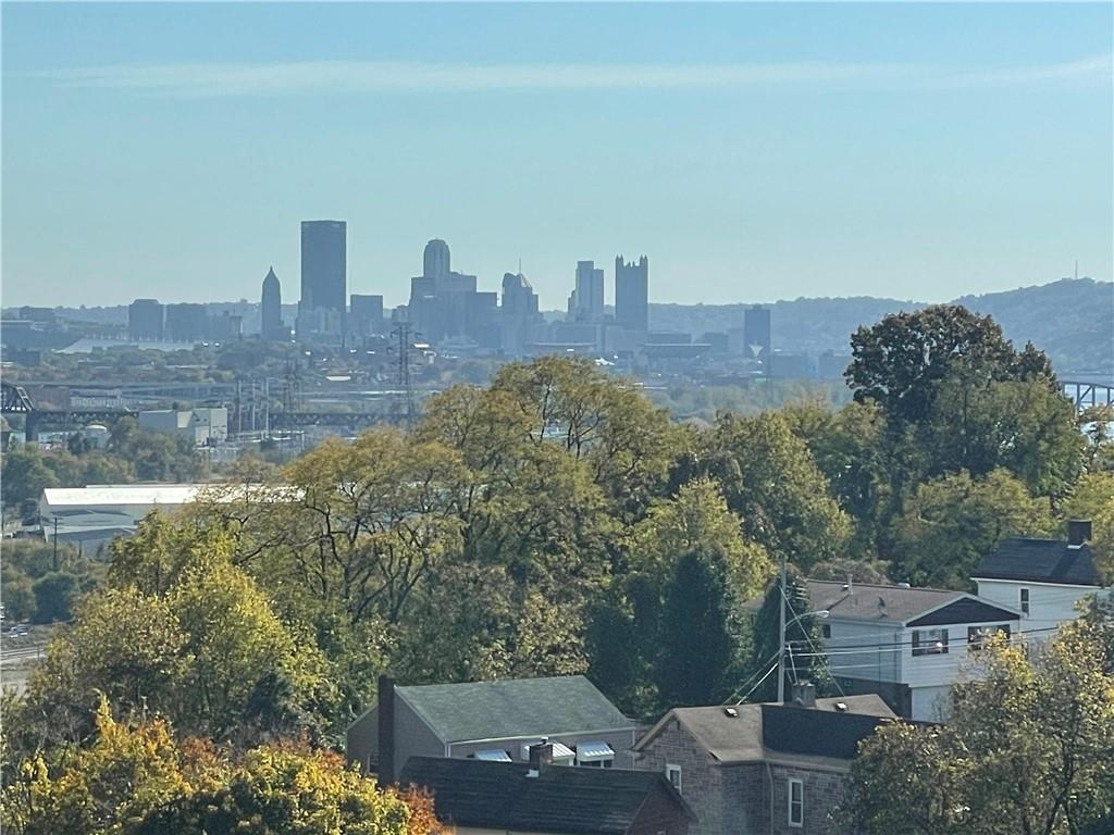 11 Frazier Avenue McKees Rocks, PA 15136 - Photo 4 of 22 a view of a city with tall buildings