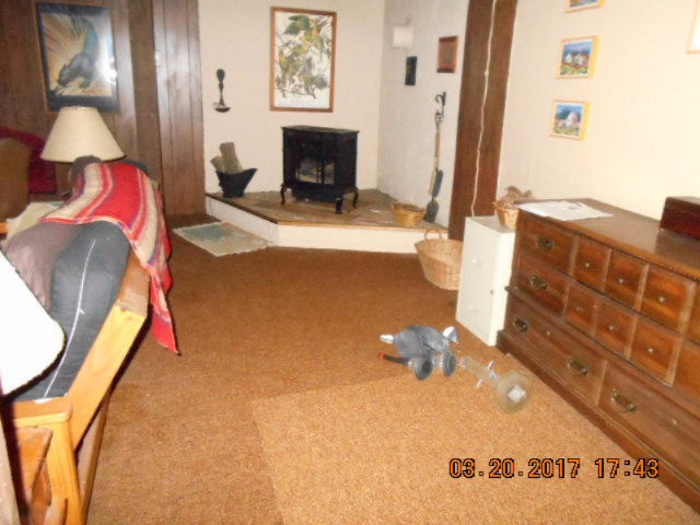 5468 East Deer Road Fountain, MI 49410 - Photo 22 of 27 003