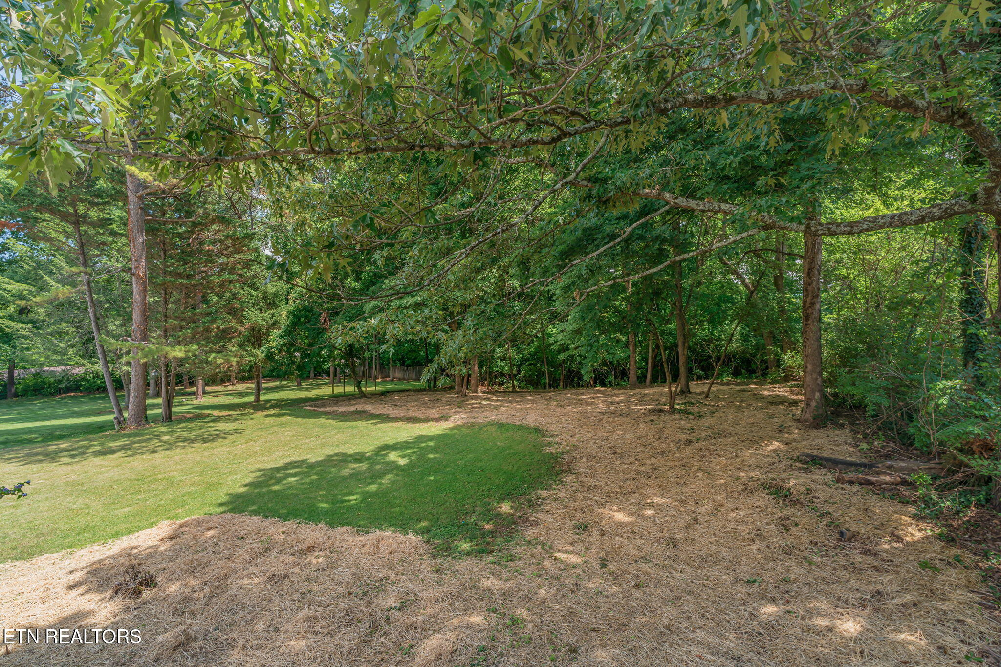 10008 Bluegrass Road Knoxville, TN 37922 - Photo 21 of 43 21-web-or-mls-10008 Bluegrass Road-21