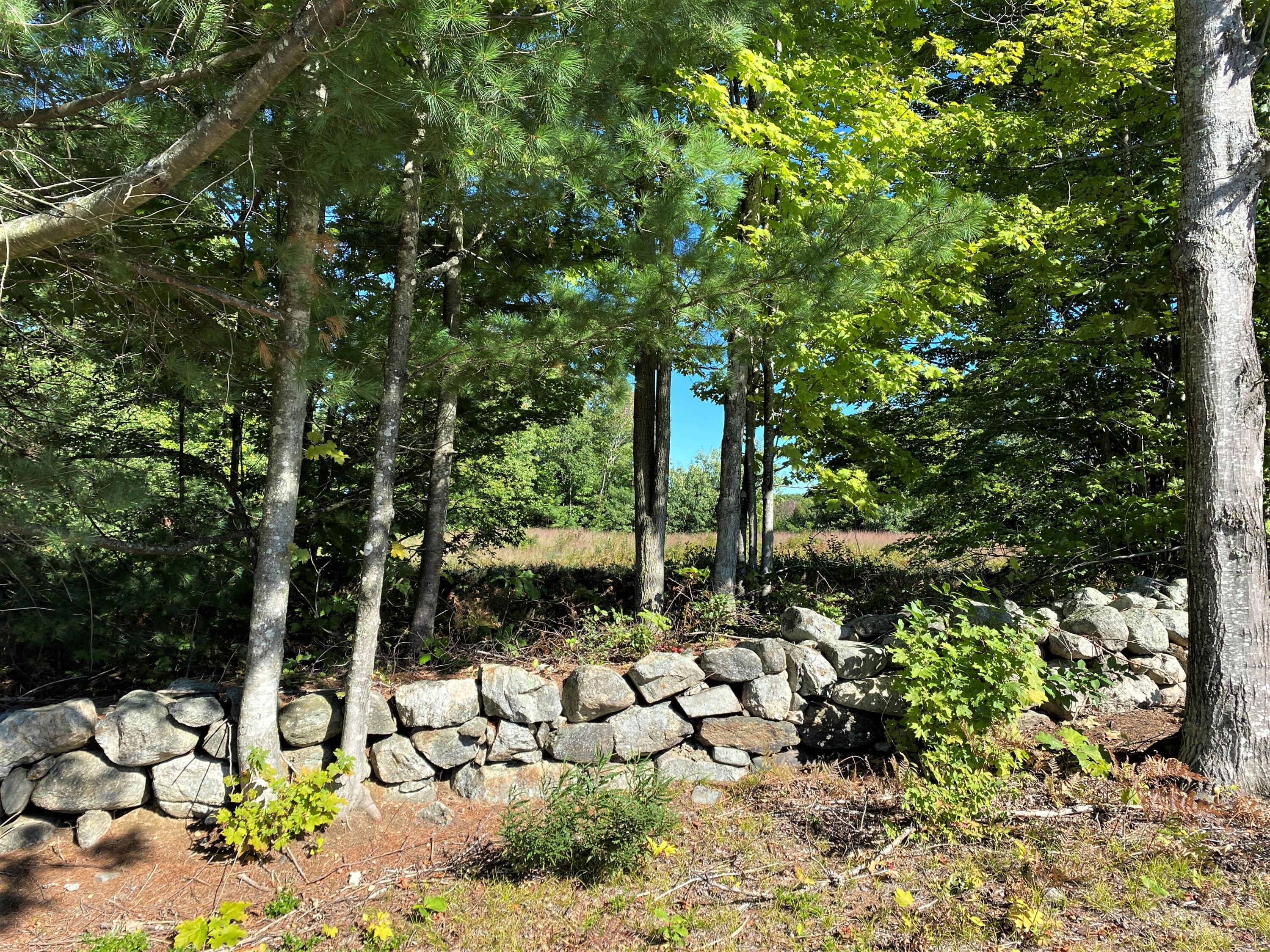 Lot 12 Libby Road West Newfield, ME 04095 - Photo 3 of 18 IMG_115984