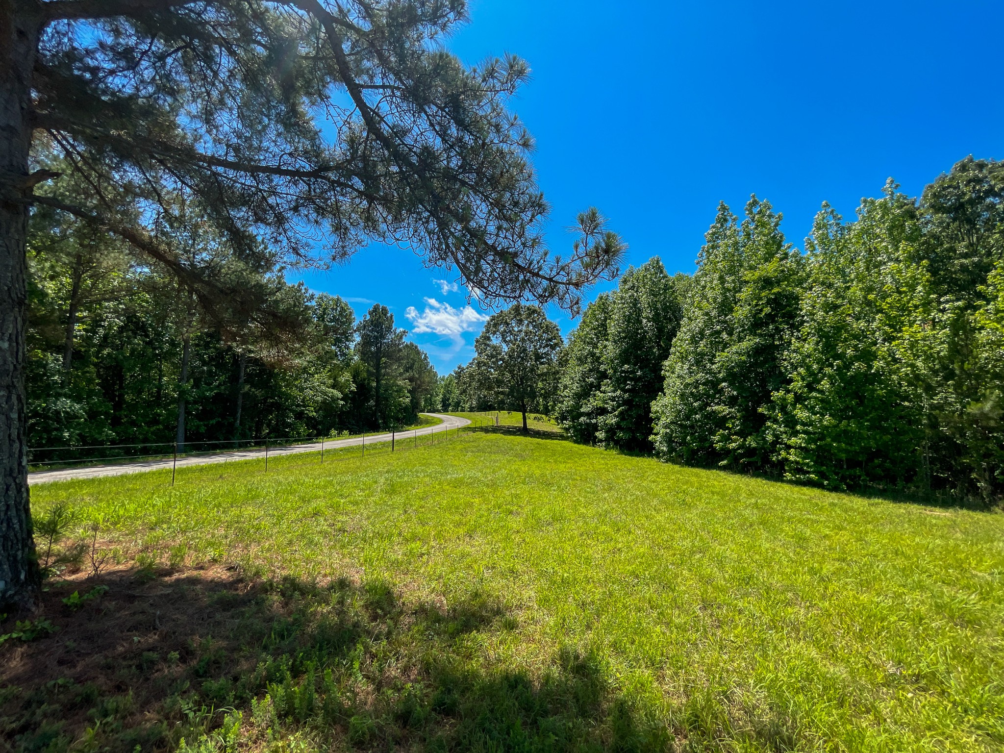 0 Pearson Road Cedar Grove, TN 38321 - Photo 7 of 21