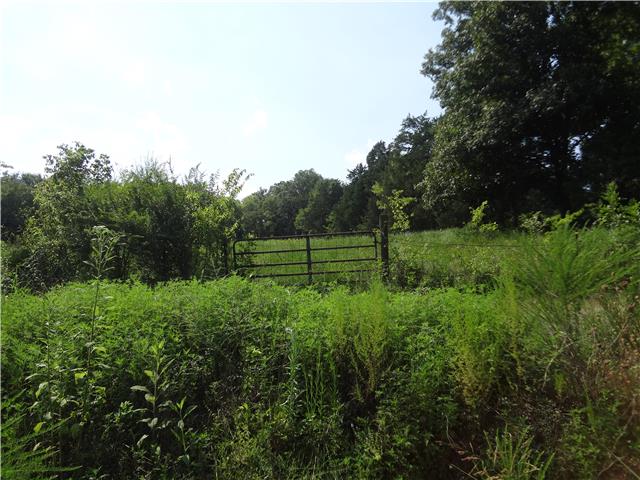 130 Temperance Valley Road Hickman, TN 38567 - Photo 18 of 20