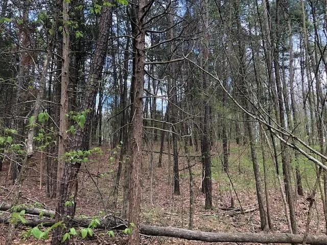 a close up of a white curtain with a rug