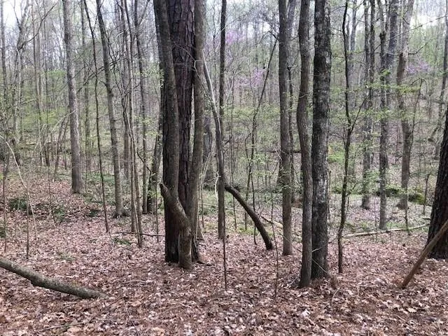 a view of a yellow room