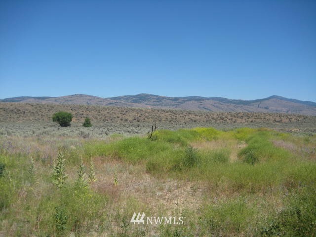 -xxx Johnson Creek Road Riverside, WA 98849 - Photo 1 of 1