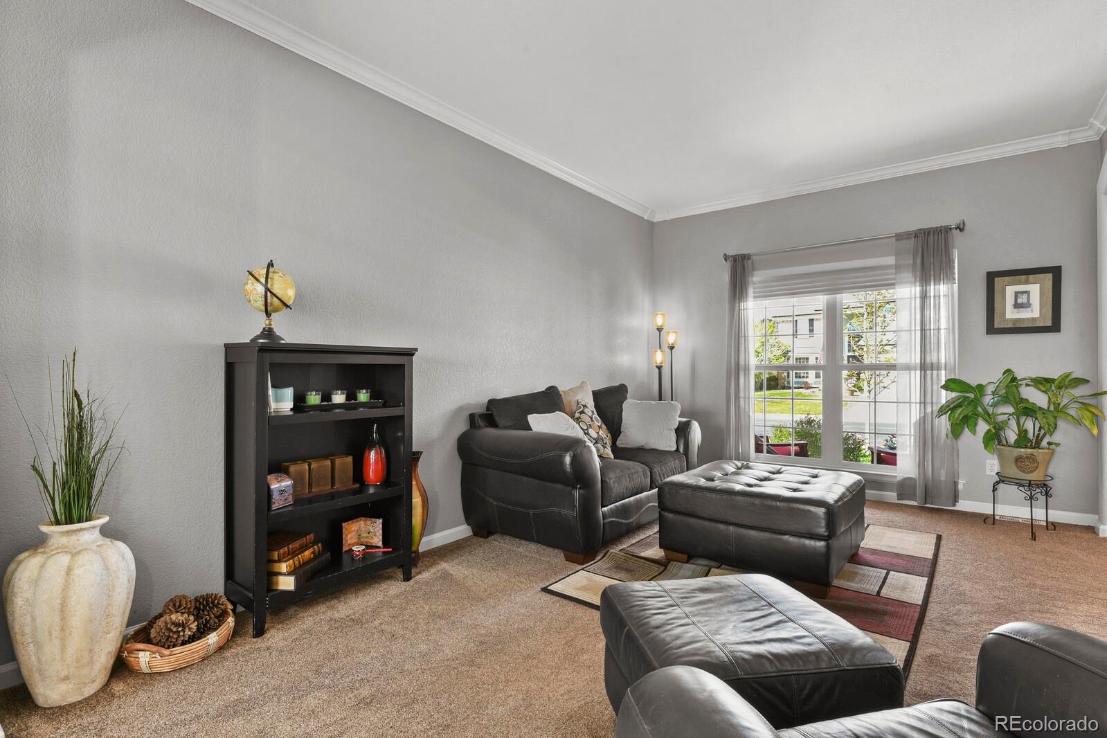 21018 Saddleback Circle Parker, CO 80138 - Photo 8 of 50 a living room with furniture and a potted plant