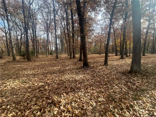 $1,275,000 | 3815 476th Road, Osceola, MO 64776