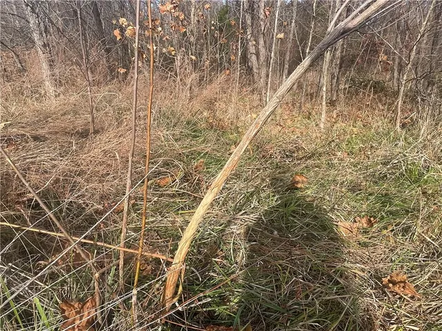 $1,275,000 | 3815 476th Road, Osceola, MO 64776