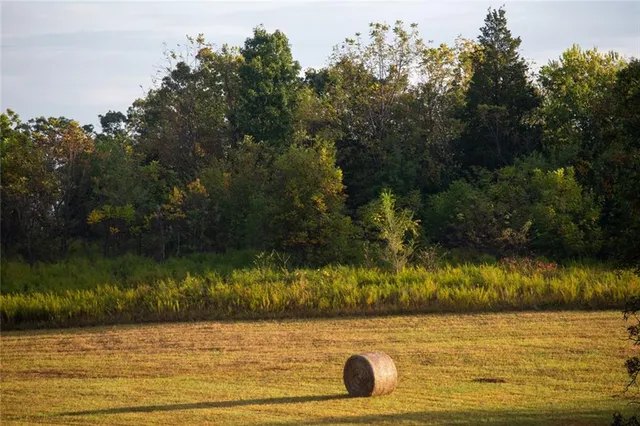 $1,275,000 | 3815 476th Road, Osceola, MO 64776