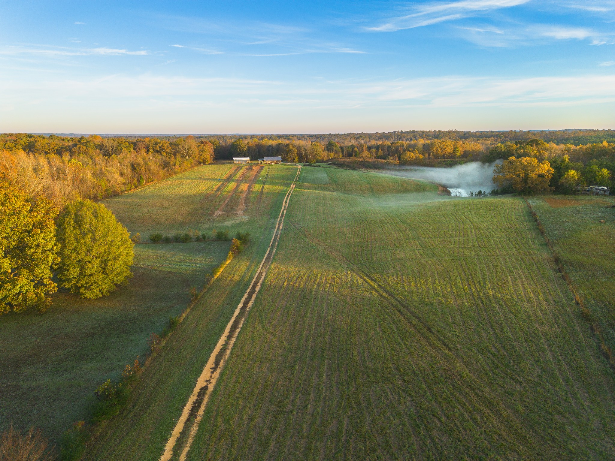 4434 Mt Carmel Road Camden, TN 38320 - Photo 25 of 29 Gallery Image 25