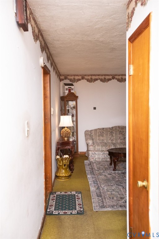 27847 Prince Edward Highway Rice, VA 23966 - Photo 49 of 100