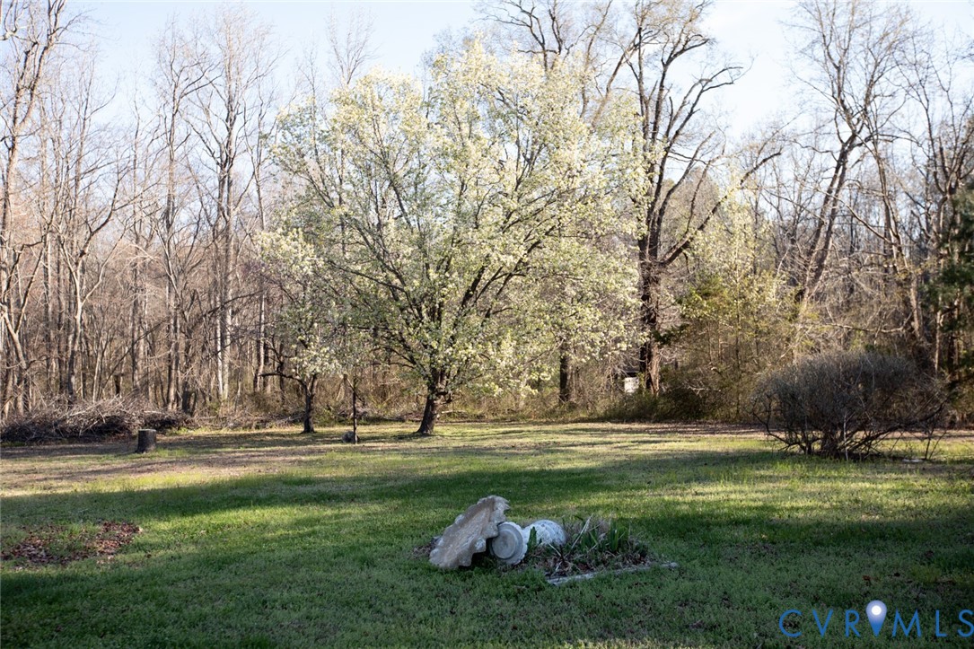27847 Prince Edward Highway Rice, VA 23966 - Photo 80 of 100
