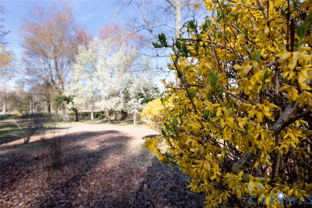 27847 Prince Edward Highway Rice, VA 23966 - Photo 99 of 100