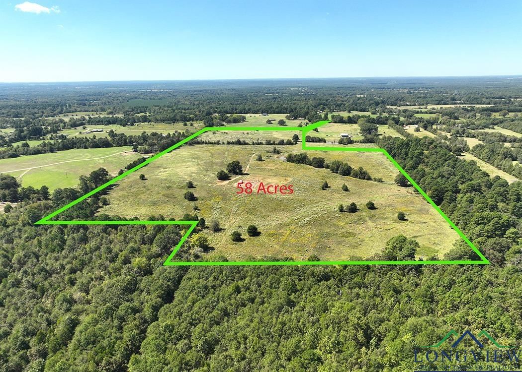 Tbd Ginger Road Gilmer, TX 75644 - Photo 2 of 27 Gallery Image 2