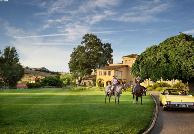 a group of people sitting in a park with large trees